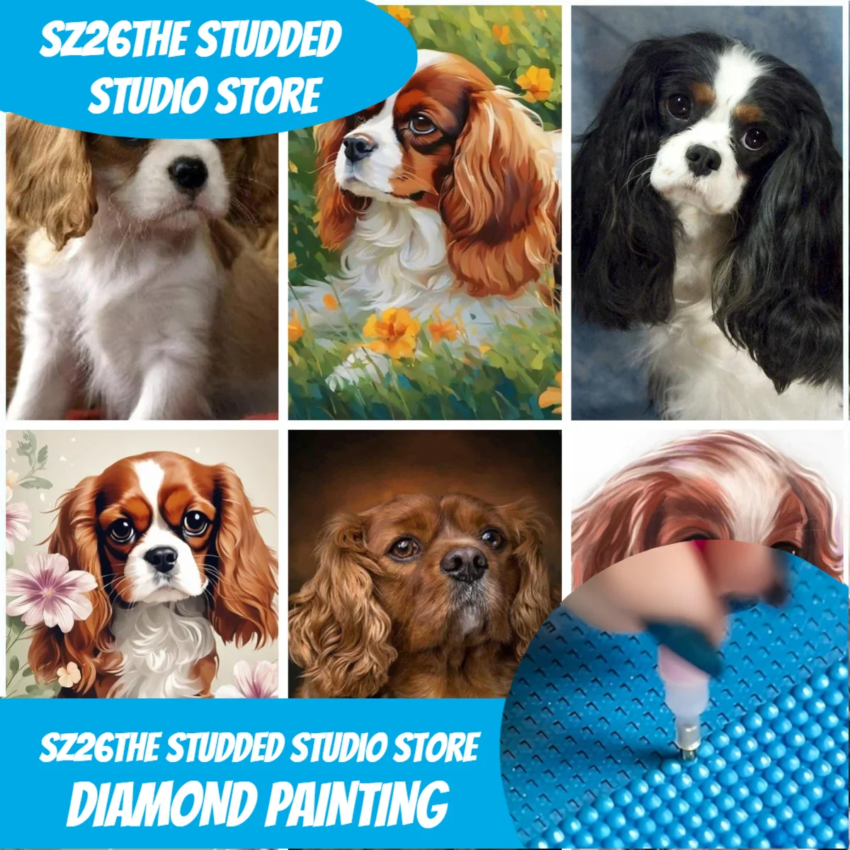 Sz26The Studded Cavalier King  - Resin Art Pouring recension och pris