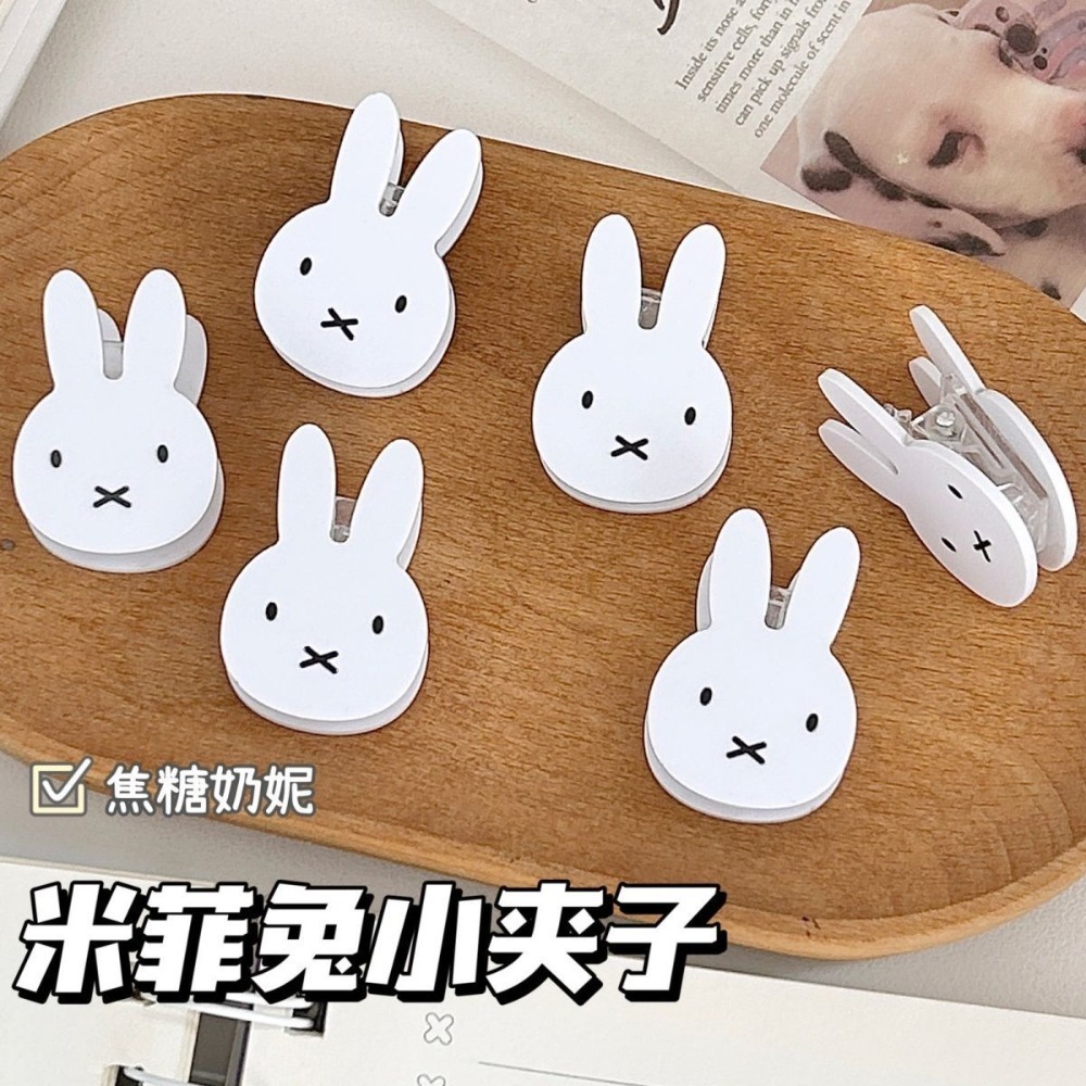 Cute Miffy PP Clip Test Paper  - Resin Art Sticker recension och pris