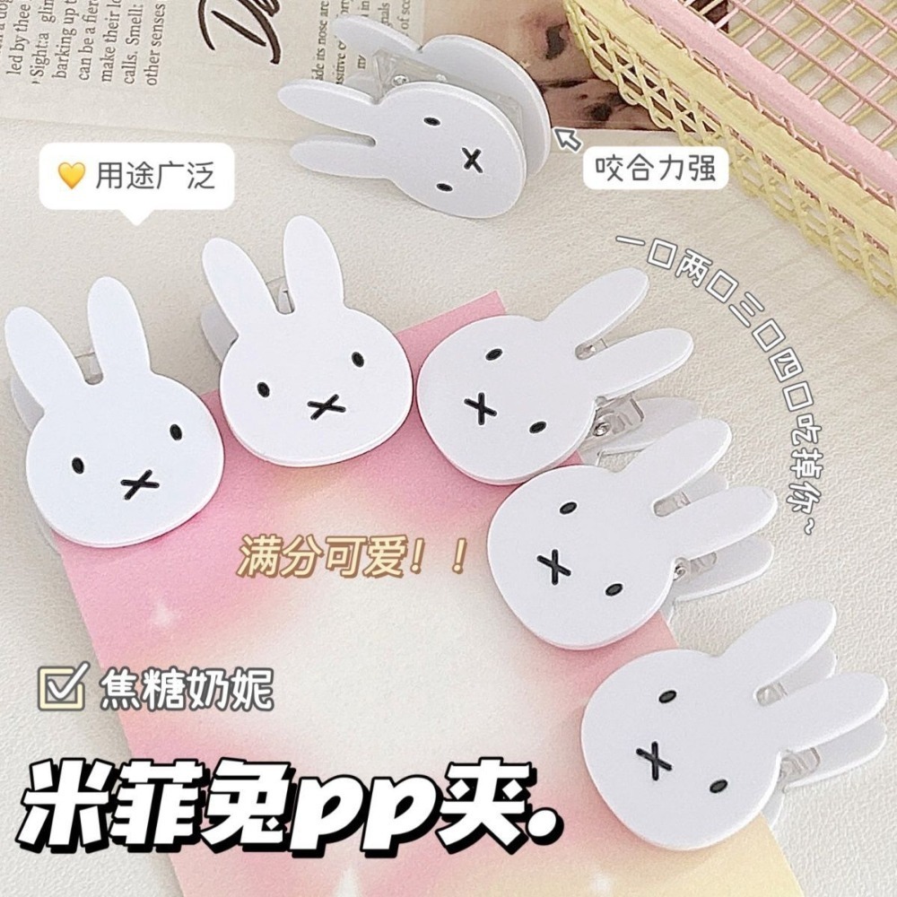 Cute Miffy PP Clip Test Paper  - Resin Art Sticker recension och pris